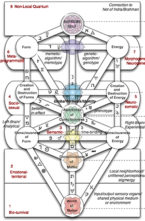 Eight-circuit Model Of Consciousness Pdf Freel